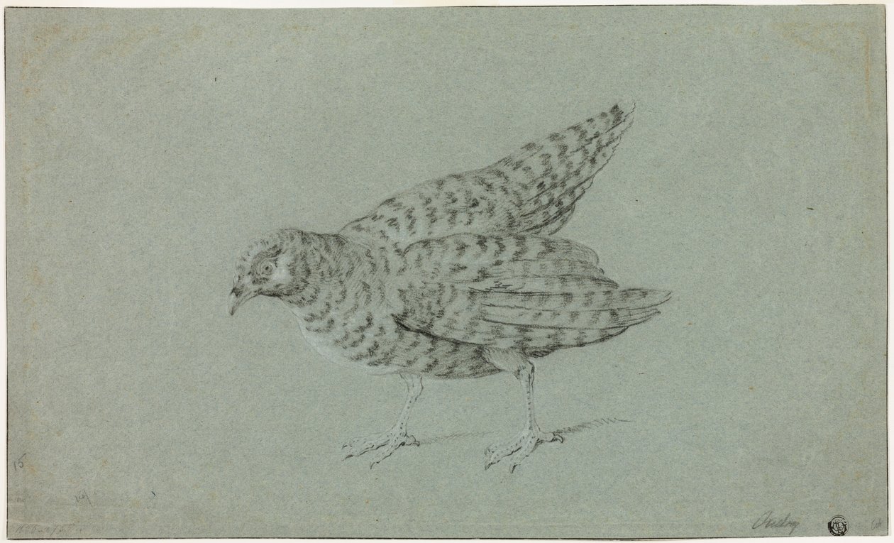 Kuropatwa autorstwa Jean-Baptiste Oudry