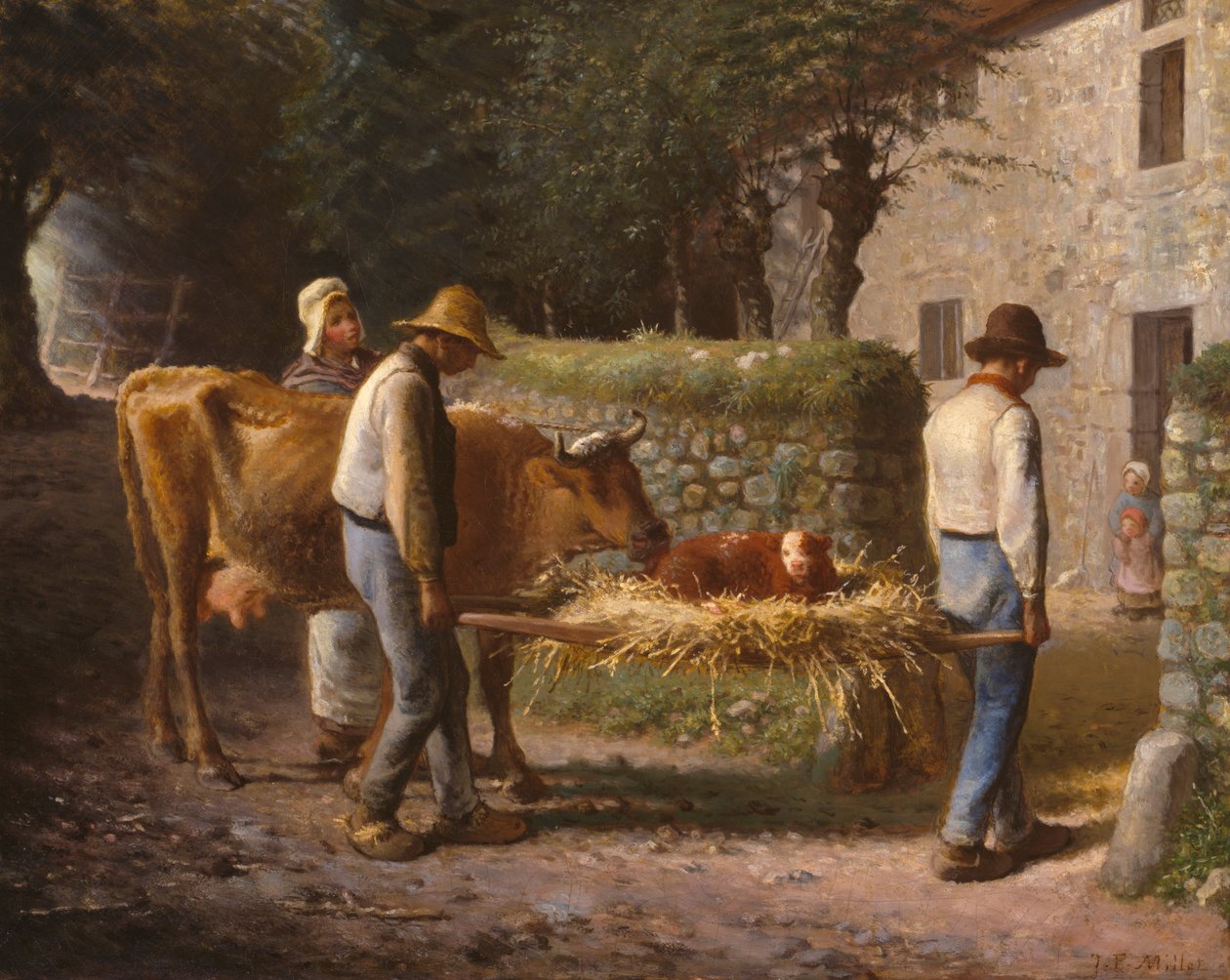 Chłopi przynoszący do domu cielę urodzone na polu autorstwa Jean-Francois Millet