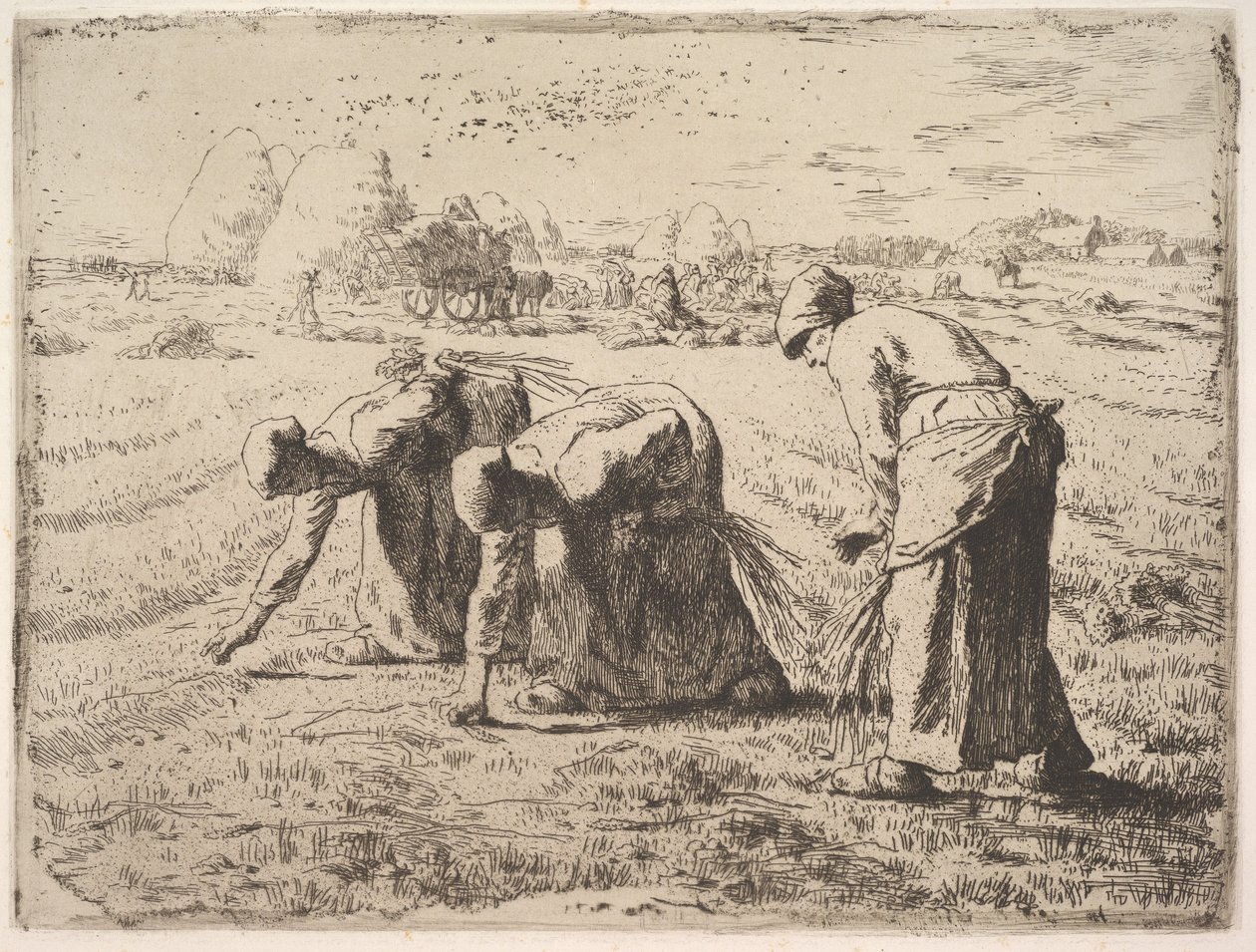 Kłosobieraczki autorstwa Jean-Francois Millet