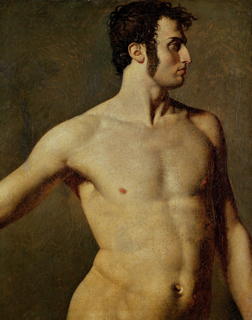 Męski tors autorstwa Jean Auguste Dominique Ingres
