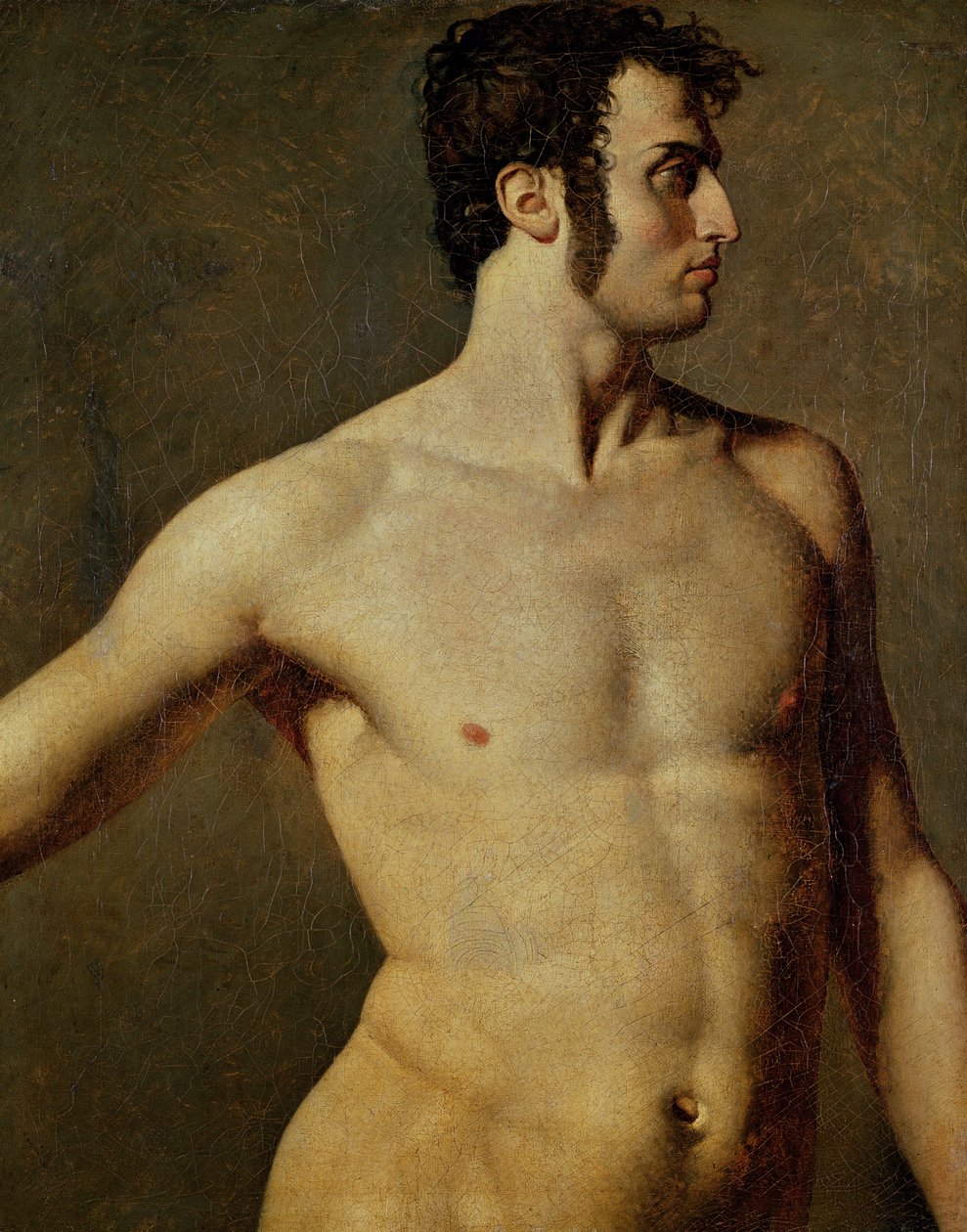 Męski tors, ok. 1800 (olej na płótnie) autorstwa Jean Auguste Dominique Ingres