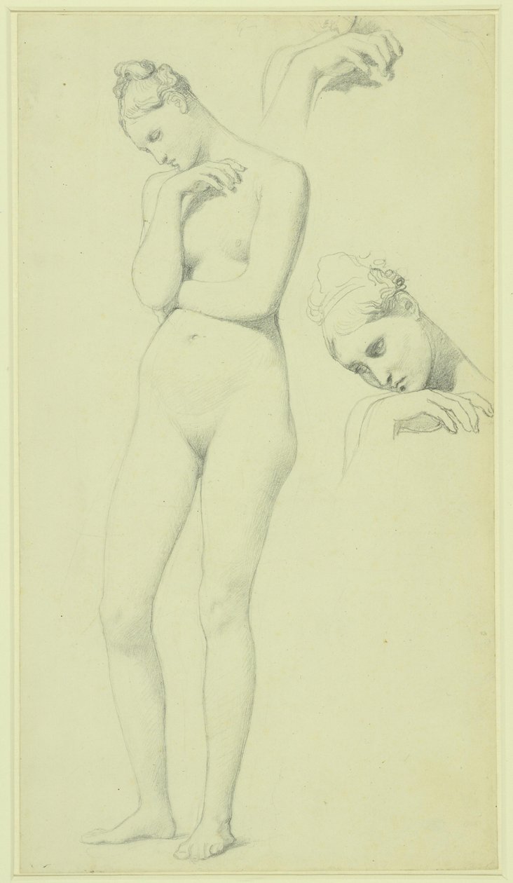 Studia nad postacią Stratonice, ok. 1834-40 (ołówek na papierze) autorstwa Jean Auguste Dominique Ingres