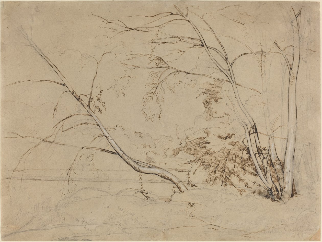 Kępka drzew w Civita Castellana, 1826. autorstwa Jean Baptiste Camille Corot