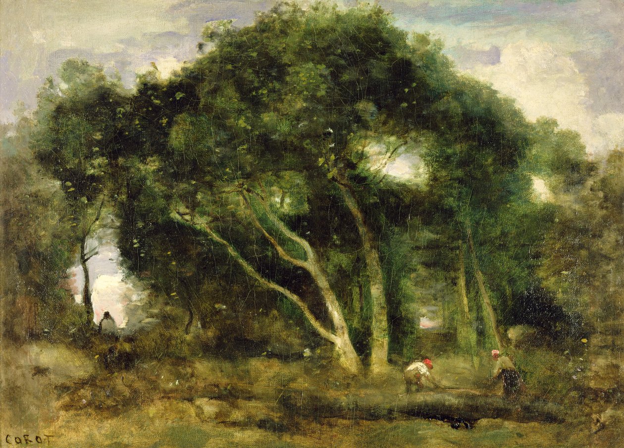 Fontainebleau: Krzywe dęby na leśnej polanie, ok. 1830-40 (olej na płótnie) autorstwa Jean Baptiste Camille Corot