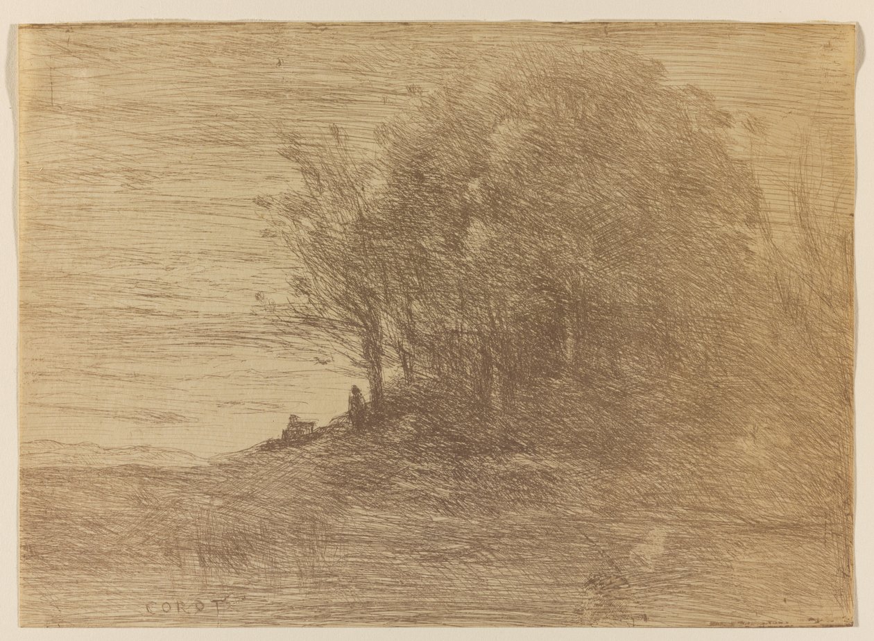 Le Bois de LErmite, 1858 (cliché-verre w tonacji bistre-brązowej na papierze czerpanym) autorstwa Jean Baptiste Camille Corot