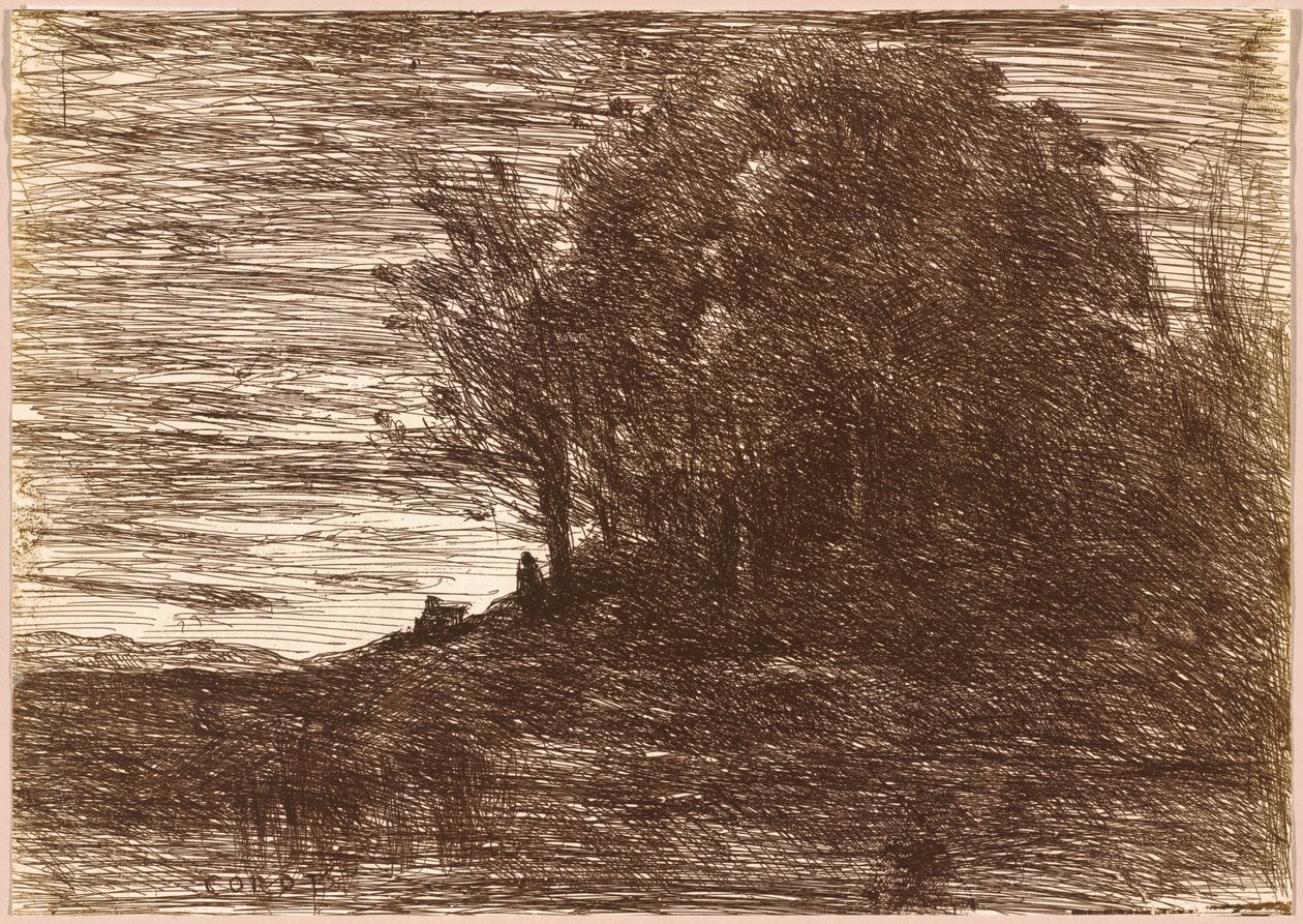 Las Pustelnika lub brzegi jeziora Trasimène, 1858 (rysunek) autorstwa Jean Baptiste Camille Corot