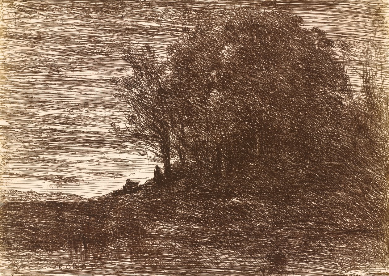 Las Pustelnika, czyli brzegi Jeziora Trazymeńskiego Le Bois de l