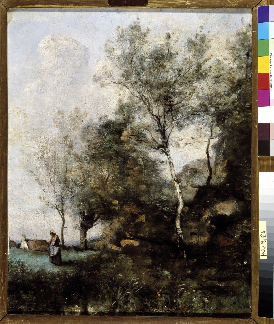 Brzoza autorstwa Jean Baptiste Camille Corot