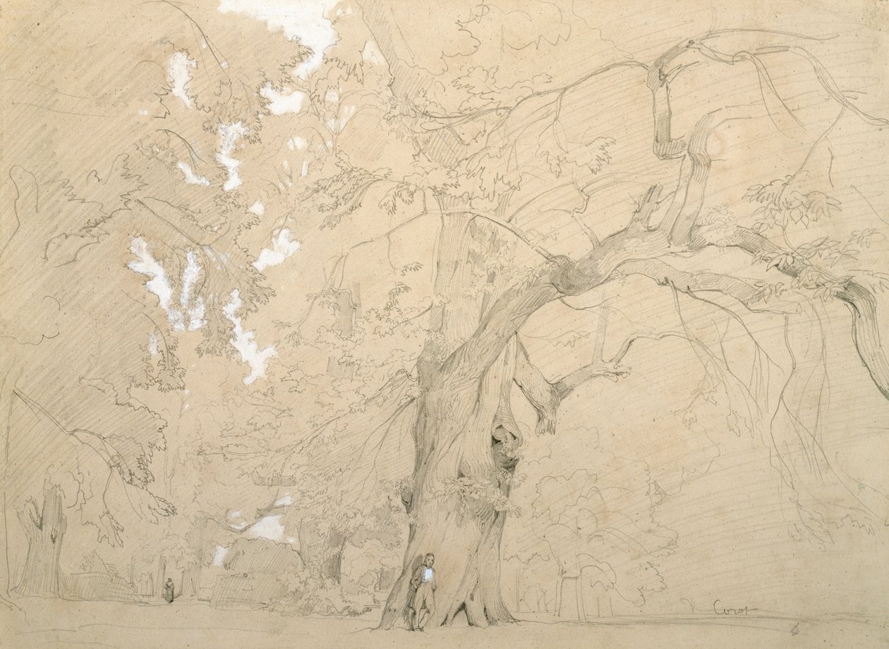 Młody człowiek przed wielkim dębem, ok. 1840 (ołówek i gwasz na papierze) autorstwa Jean Baptiste Camille Corot