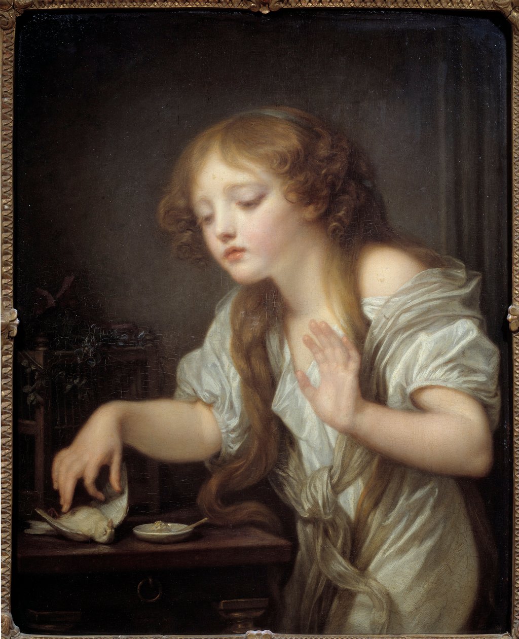 Młoda dziewczyna waha się, czy dotknąć ptaka, bojąc się, że jest martwy lub martwy ptak Obraz Jean Baptiste Greuze (1725-1805) 1800 nd. 0,68x0,55m² autorstwa Jean Baptiste Greuze