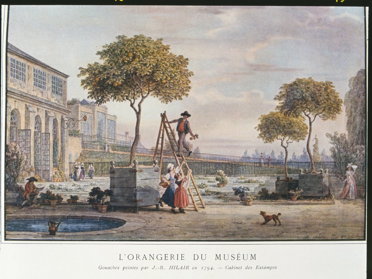 Oranżeria w Muzeum w Paryżu w 1794 r. autorstwa Jean Baptiste Hilair