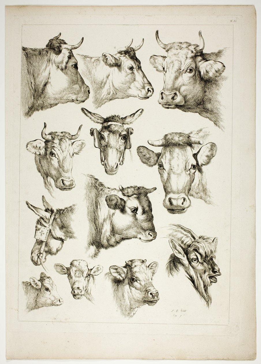 Tablica 35 z 38 z Oeuvres de J. B. Huet autorstwa Jean Baptiste Huet
