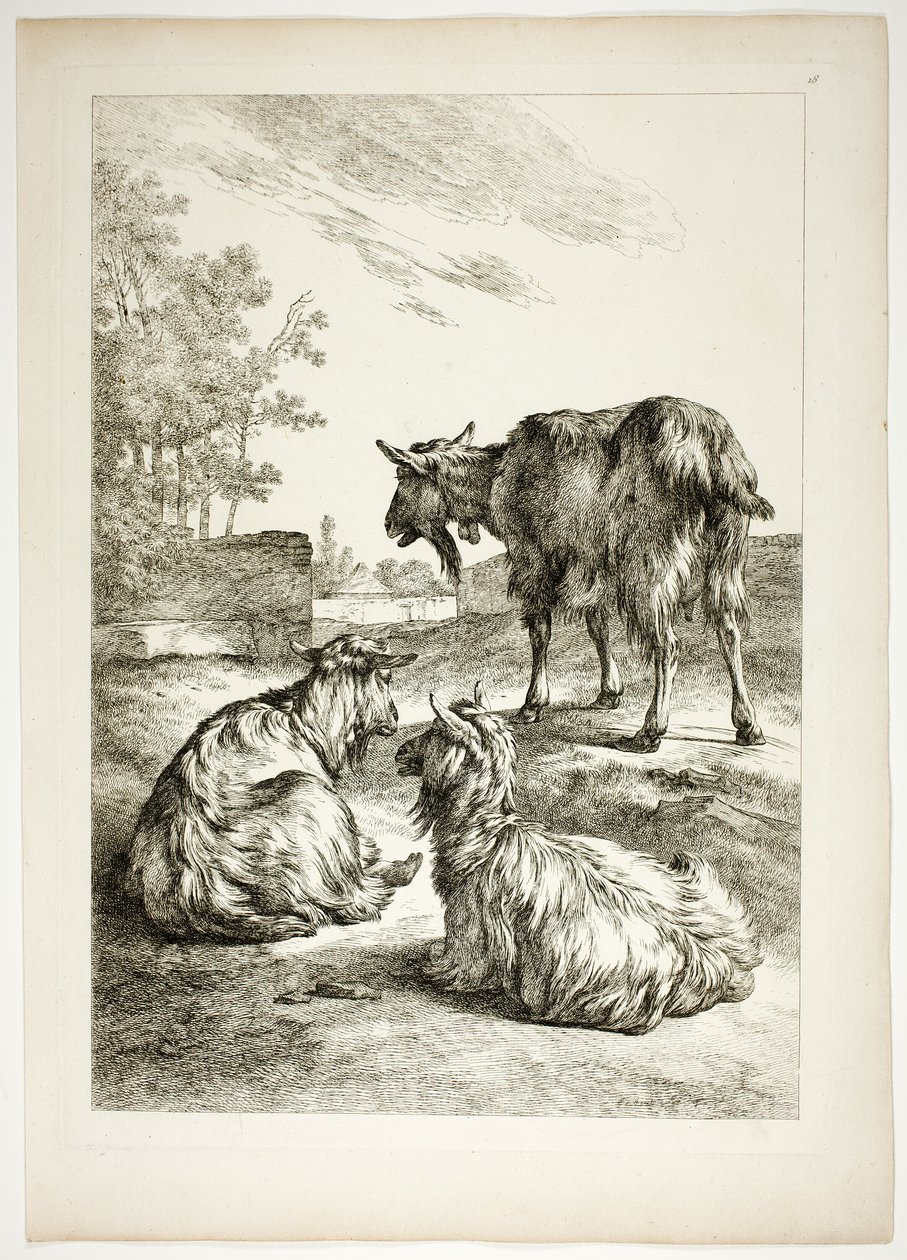 Płyta osiemnasta z 38 z Oeuvres de J. B. Huet autorstwa Jean Baptiste Huet