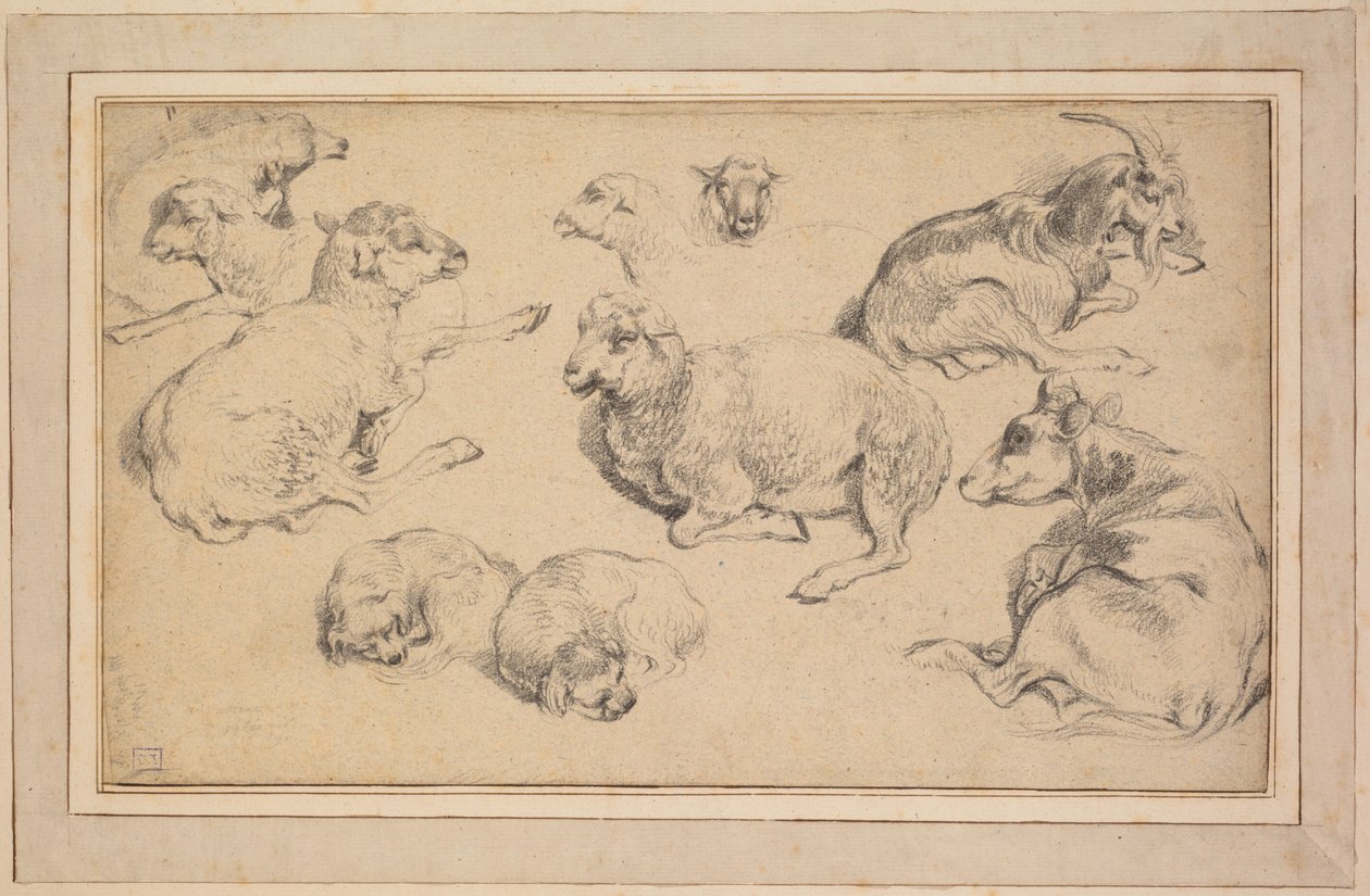 Arkusz studiów z owcami, kozami i psami, c. 1780. autorstwa Jean Baptiste Marie Huet