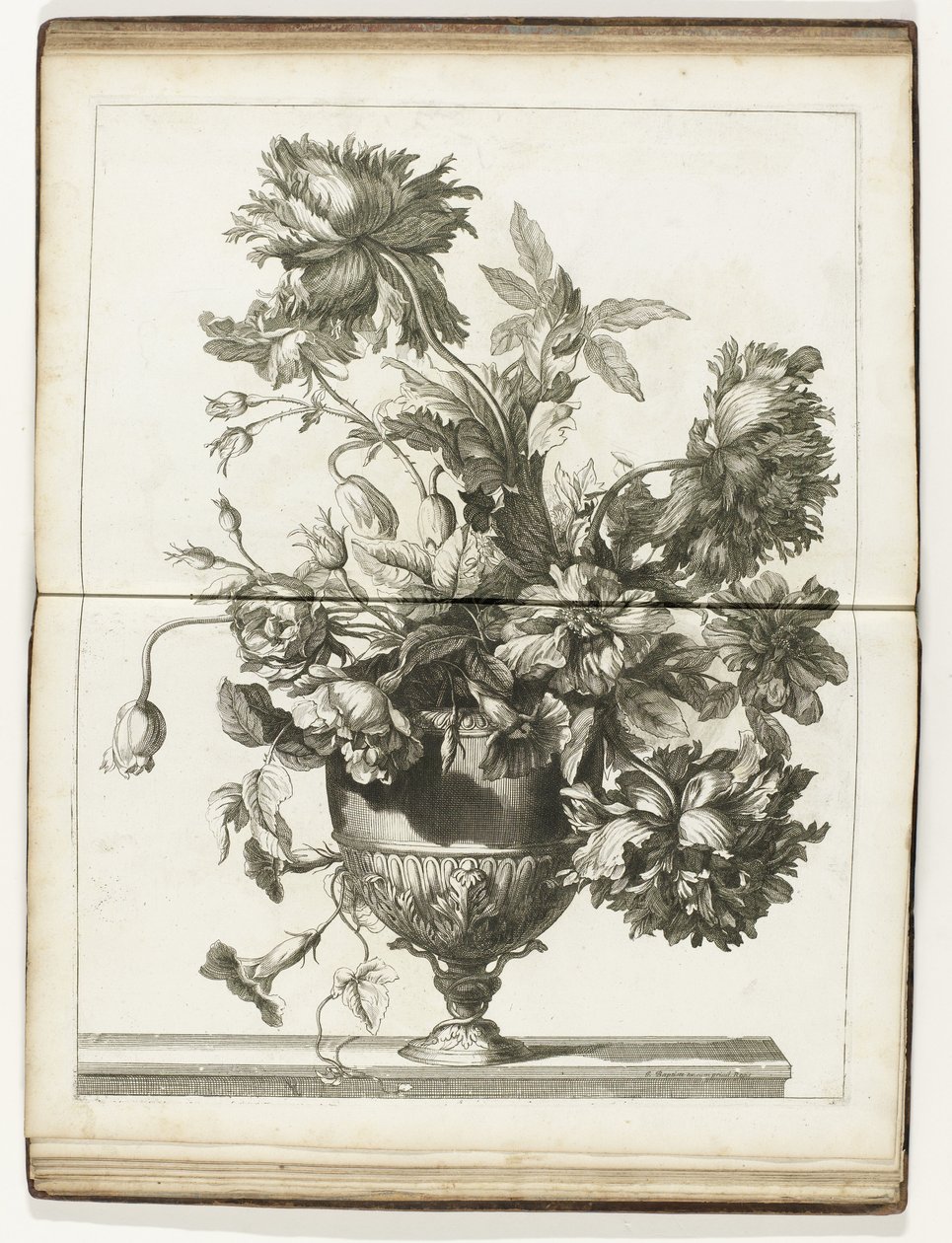 Bloemenvaas Księgi kilku Vazes of Flowers wykonane po Natural (tytuł serii) autorstwa Jean Baptiste Monnoyer