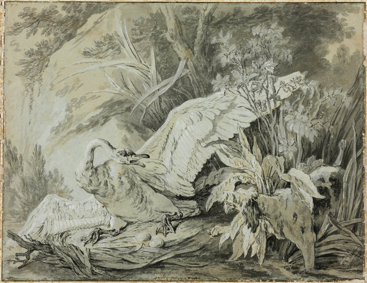 Dziki łabędź zaatakowany przez psa autorstwa Jean Baptiste Oudry