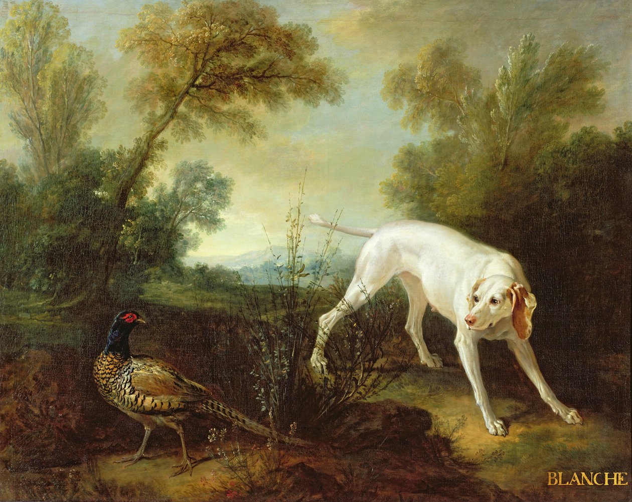 Blanche, suka królewskiego stada myśliwych autorstwa Jean Baptiste Oudry