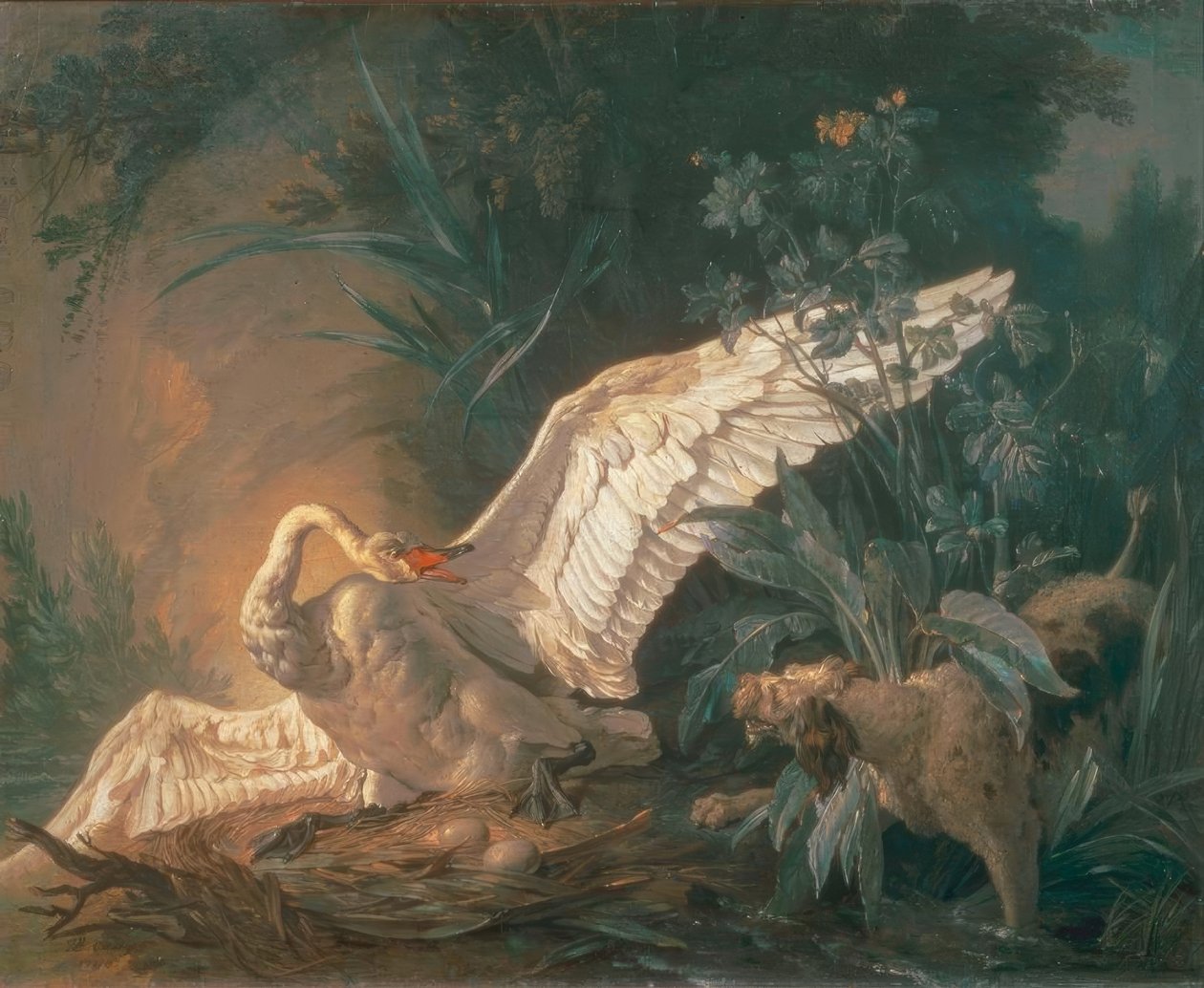 Pies Barbet atakujący łabędzia w swoim gnieździe autorstwa Jean Baptiste Oudry