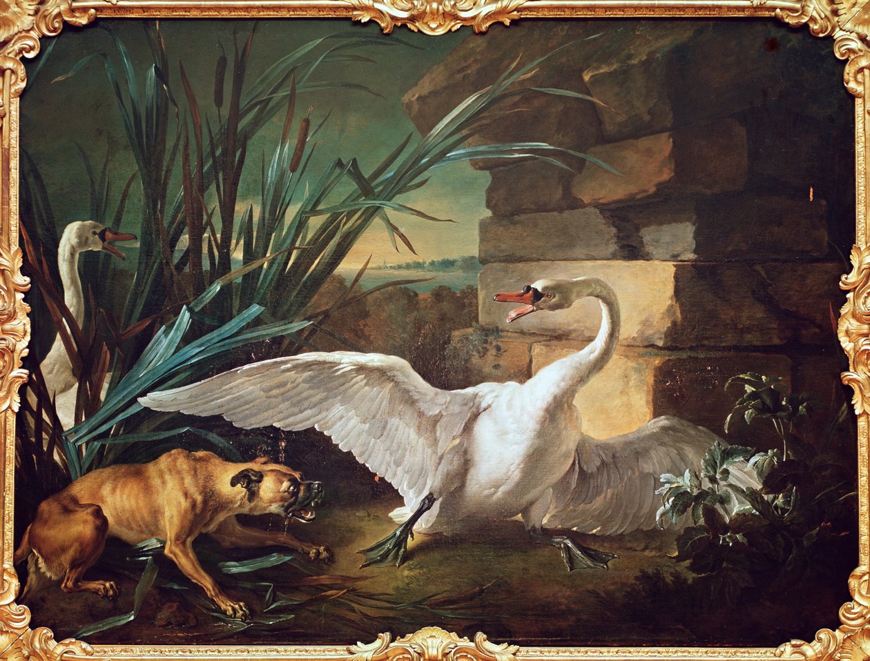 Pies i łabędzie autorstwa Jean Baptiste Oudry