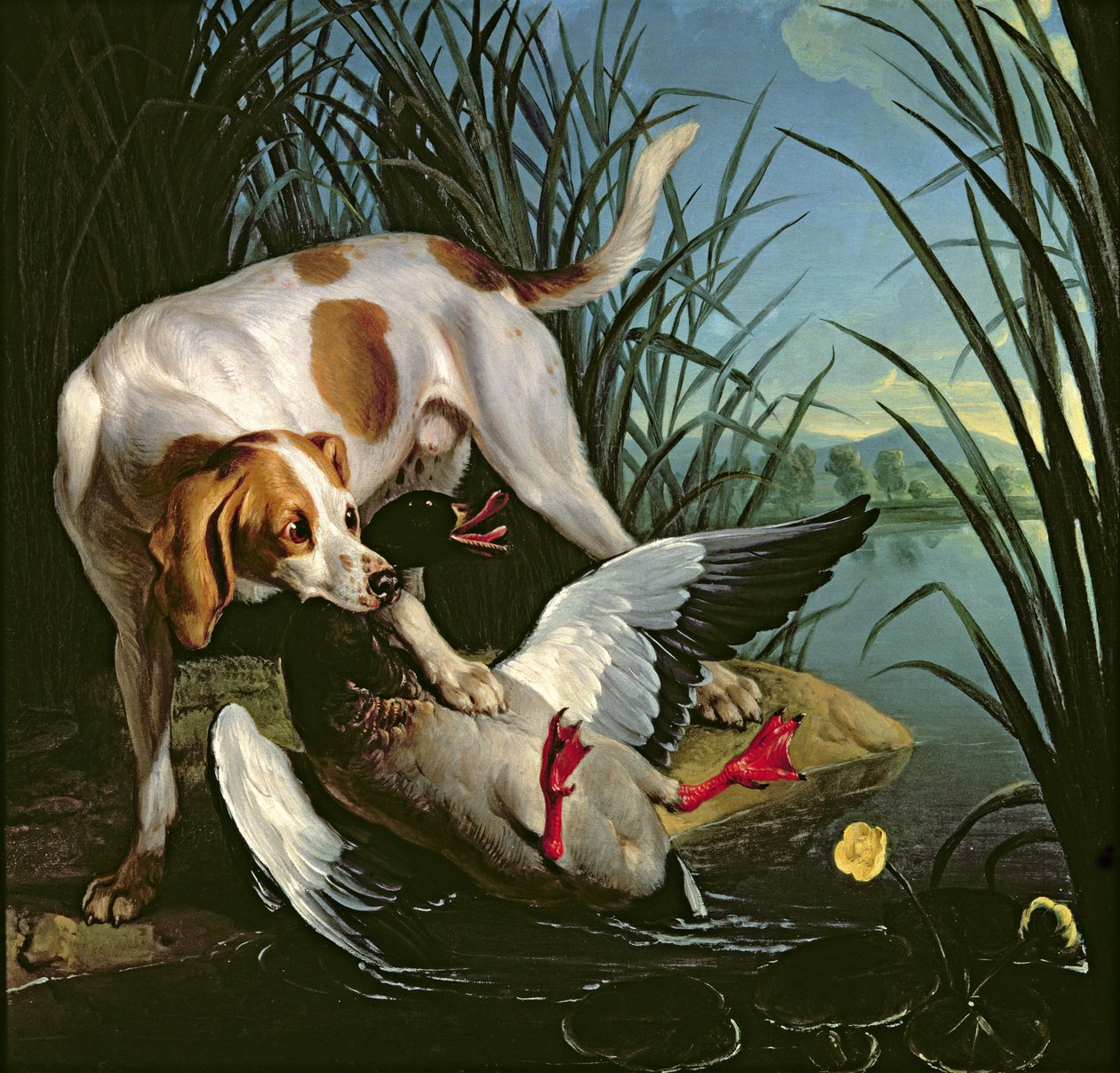 Pies z dziką kaczką autorstwa Jean Baptiste Oudry