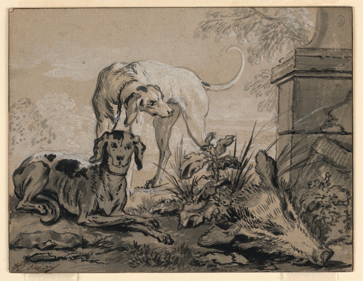 Rysunek Po polowaniu: Dwa psy gończe obok głowy dzika, 1740 r. autorstwa Jean Baptiste Oudry