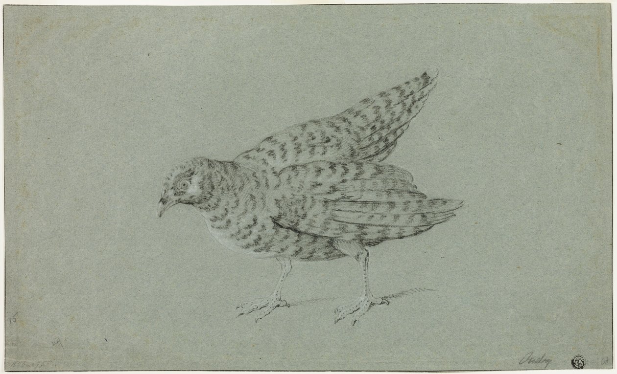 Kuropatwa autorstwa Jean Baptiste Oudry