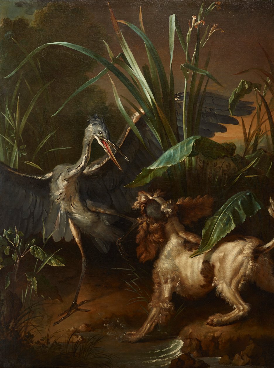 Spaniel wodny w konfrontacji z czaplą autorstwa Jean Baptiste Oudry