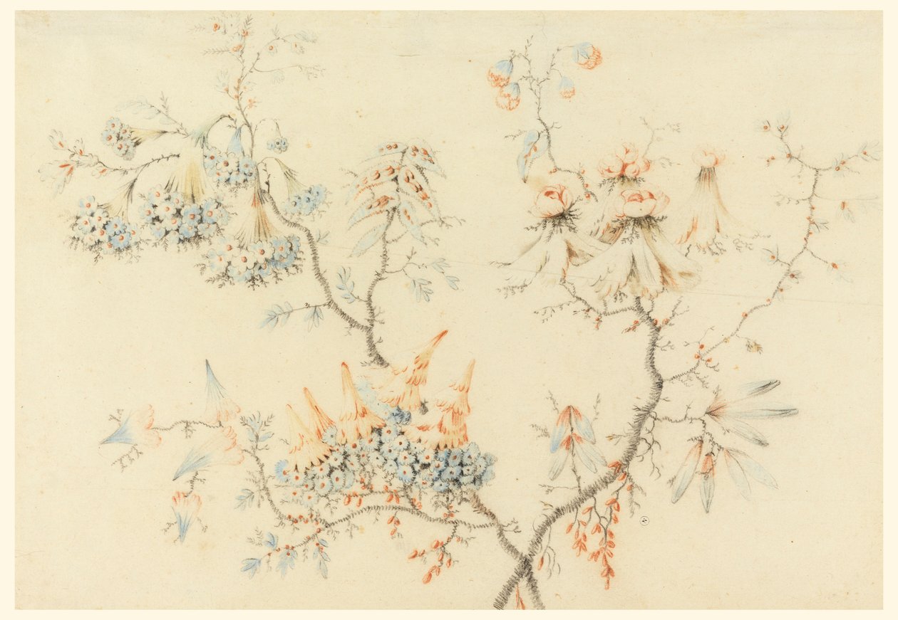 Rysunek, kwitnące gałęzie, 1775-1800 autorstwa Jean Baptiste Pillement