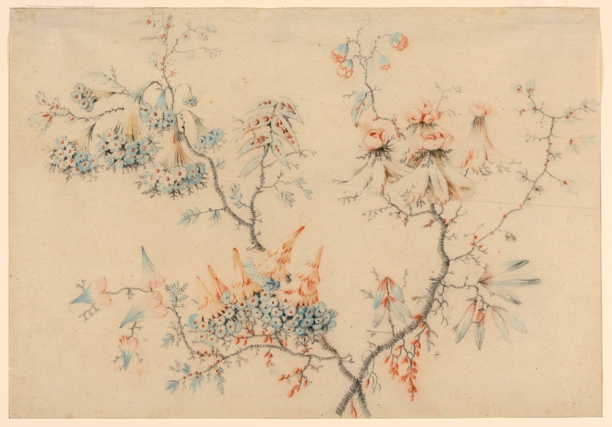 Rysunek, kwitnące gałęzie, 1775-1800 autorstwa Jean Baptiste Pillement