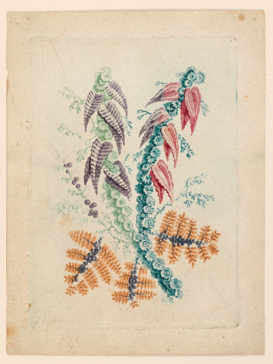 Fantastyczny motyw kwiatowy z "New Suite of Ideal Flower Notebooks" autorstwa Jean Baptiste Pillement
