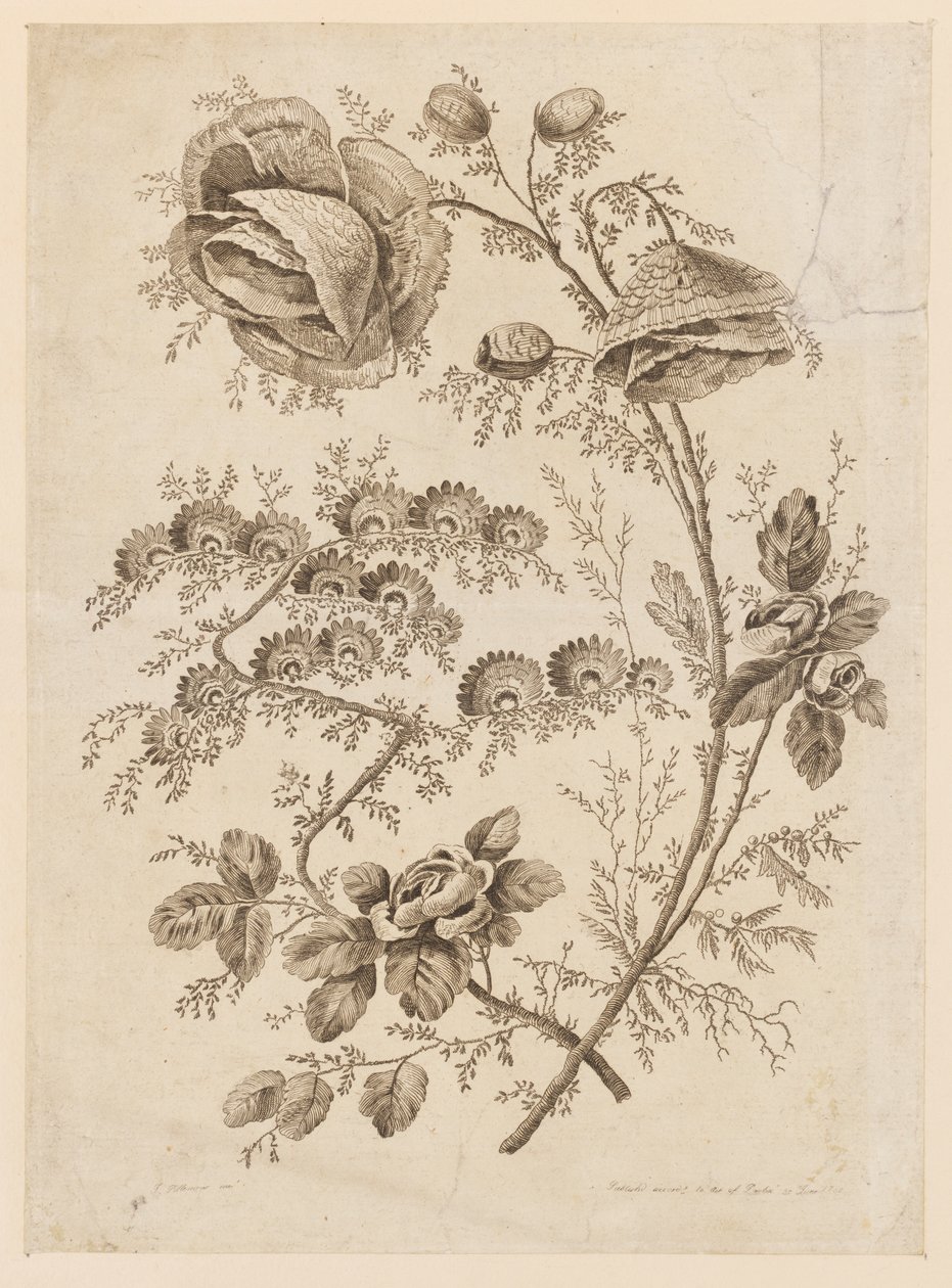 Gałązka Kwiatów, z „Cahier de Fleurs Singuliers” autorstwa Jean Baptiste Pillement