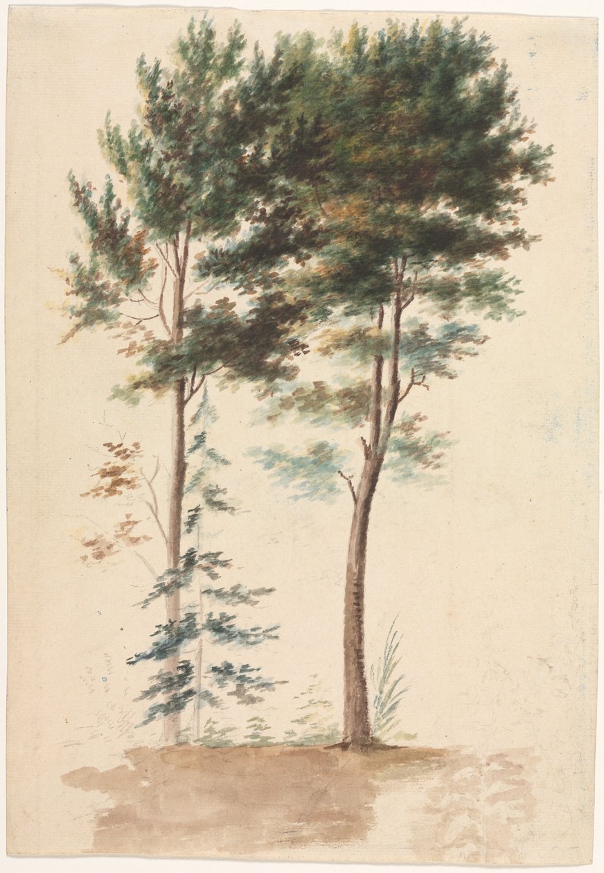 Drzewa autorstwa Jean Baptiste Pillement