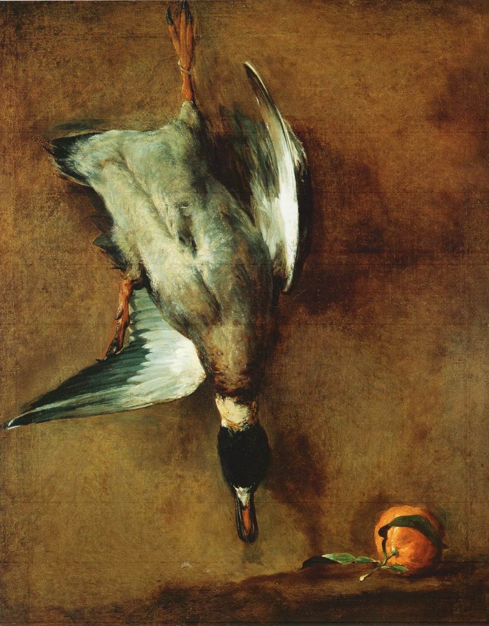 Kaczka z zieloną szyją przywiązana do ściany i barwinek autorstwa Jean Baptiste Simeon Chardin