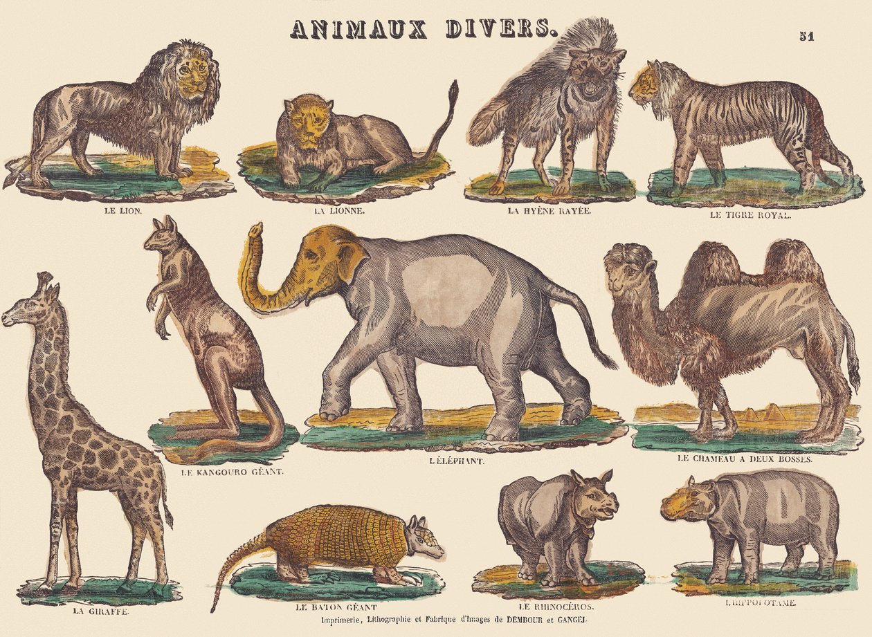 Różne zwierzęta, ok. 1840-1852 (litografia) autorstwa Jean Baptiste Thiebault