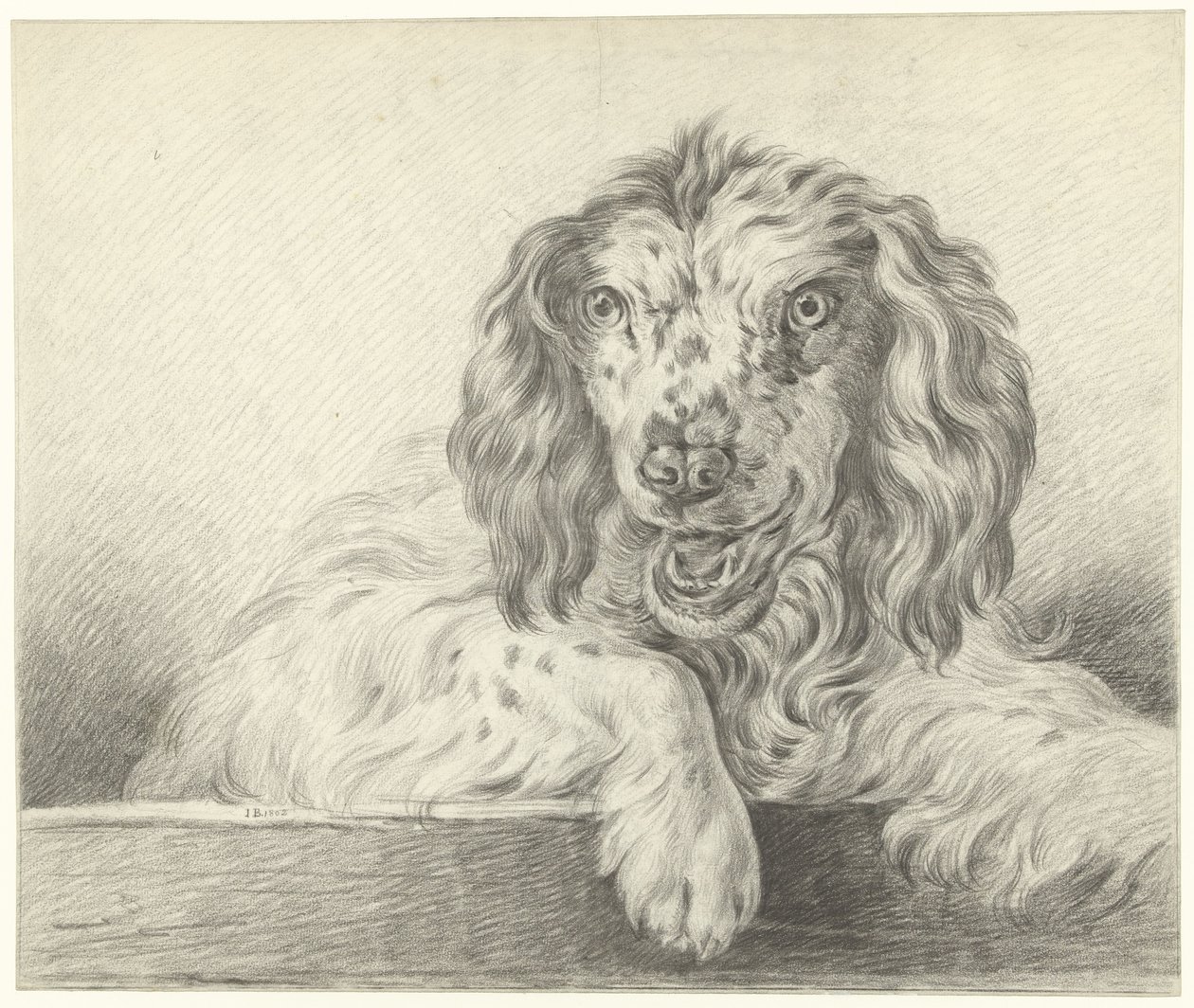 Pies autorstwa Jean Bernard