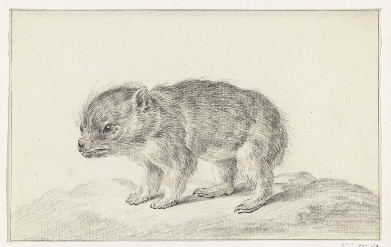 Młody niedźwiedź (?) autorstwa Jean Bernard