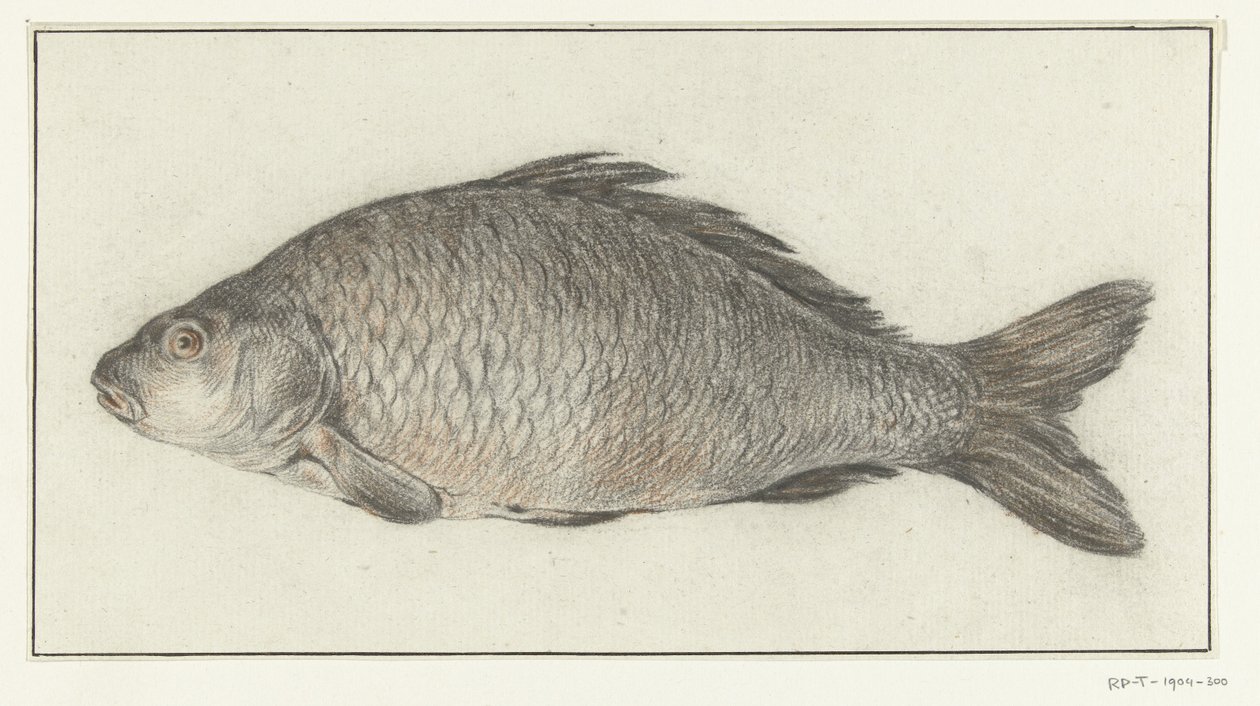 Vis autorstwa Jean Bernard