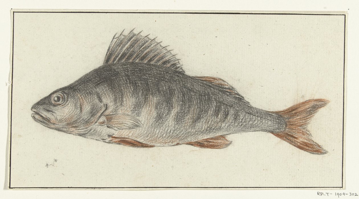 Vis autorstwa Jean Bernard