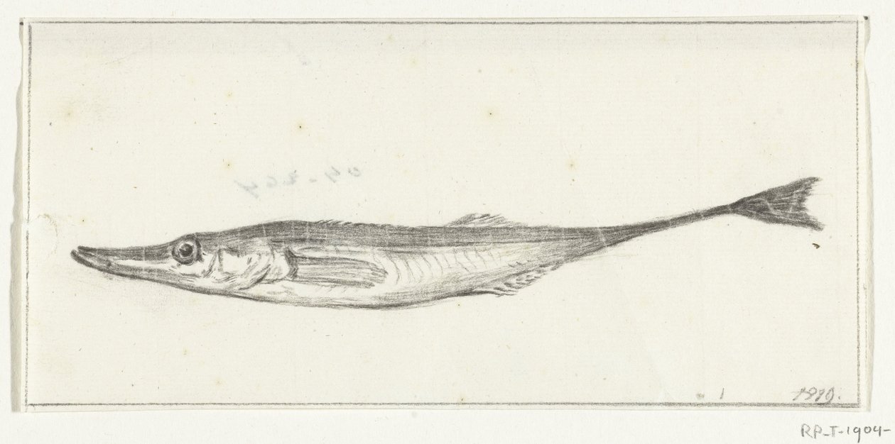 Vis autorstwa Jean Bernard