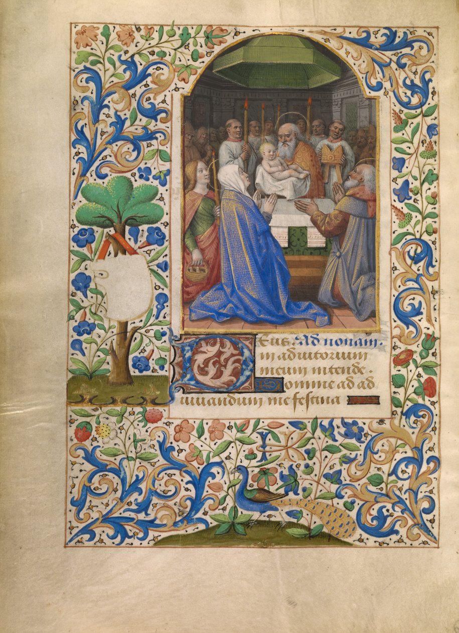 Die Darstellung im Tempel autorstwa Jean Bourdichon