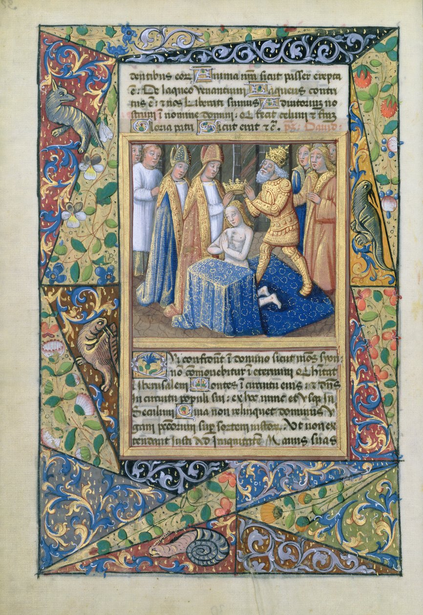 Pani Lat. Q.v.I.126 f.32v Koronacja Dawida, z Księgi Godzin Ludwika dOrleans, 1490 autorstwa Jean Colombe