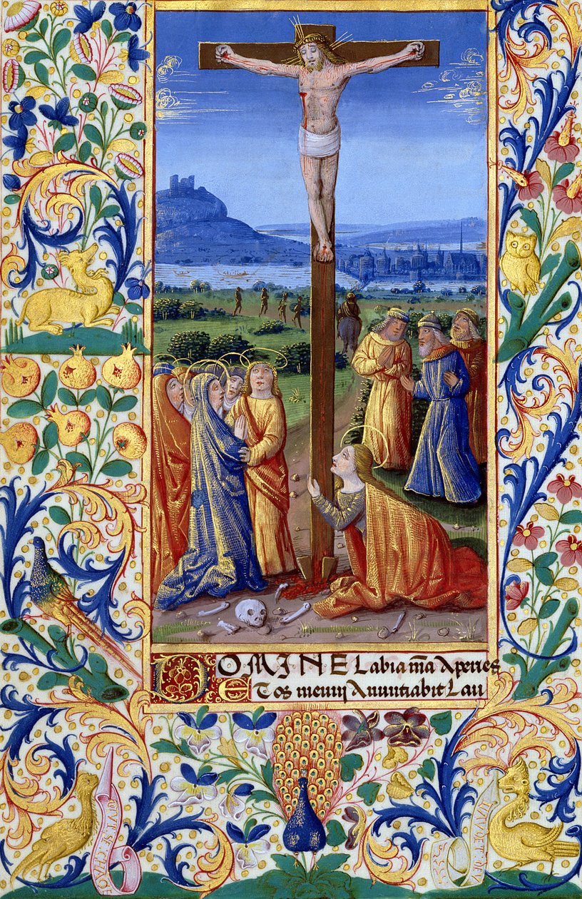 Pani Lat. Q.v.I.126 f.84v Ukrzyżowanie, z 