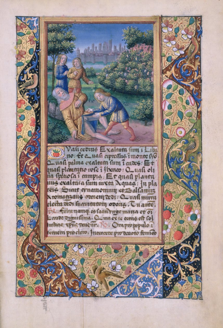 Pani Lat. Q.v.I.126 fol.17 Pijaństwo Noego, z Księgi Godzin Ludwika dOrleans, 1490 autorstwa Jean Colombe