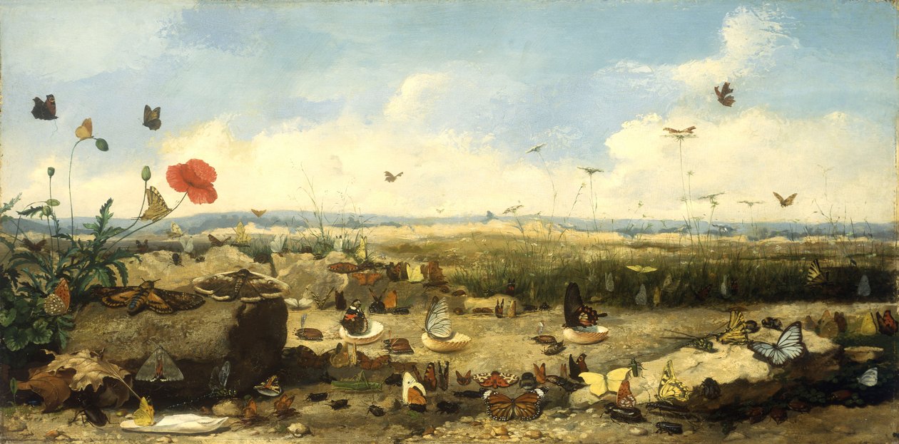 Wyścig motyli, 1872 autorstwa Jean Eugene Doneaud