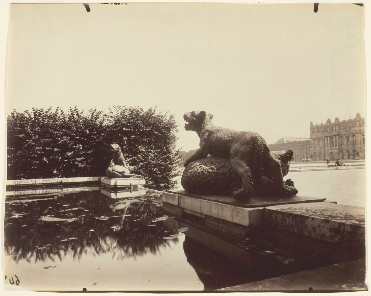 Wersal, Fontaine du Point du Jour, (Tigre Terrassant un Ours by Houzeau) autorstwa Jean Eugène Auguste Atget