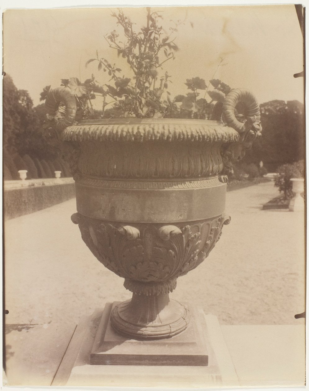 Wersal, wazon marki Ballin autorstwa Jean Eugène Auguste Atget
