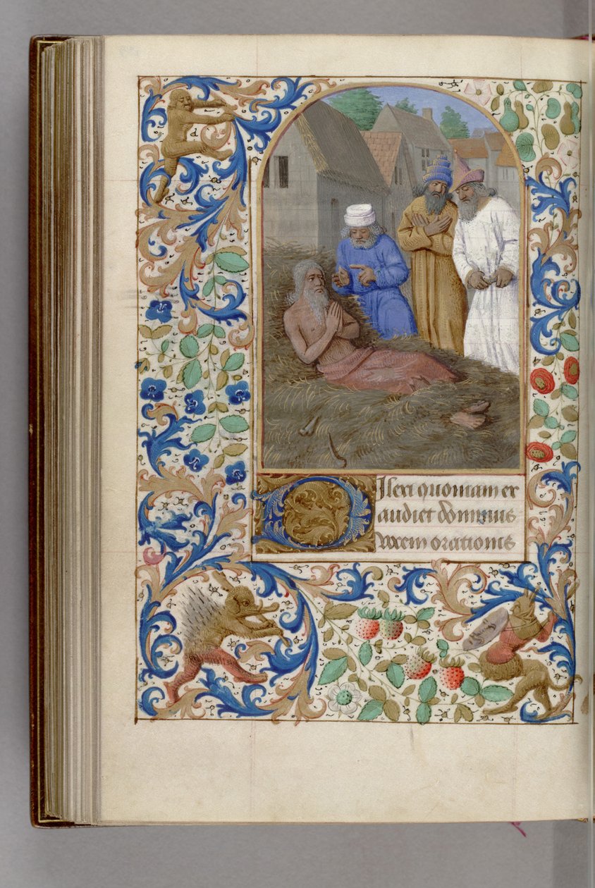Praca na gnoju Księga godzin, 1450-1499 autorstwa Jean Fouquet