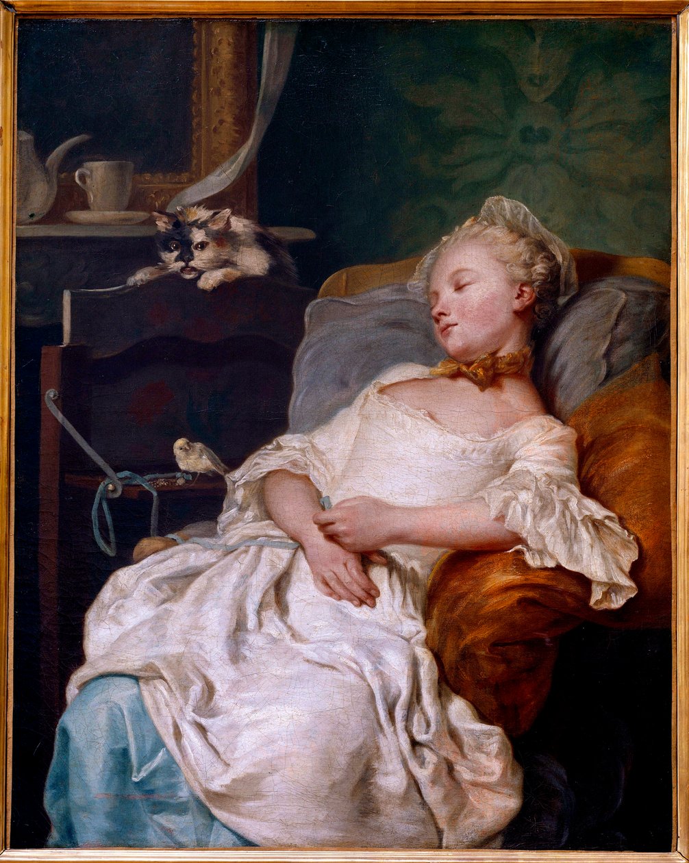 Reszta Malarstwo Jeana Francois Colsona (1733-1803) 1759 Nd. 0,92x0,72 m Dijon, Muzeum Sztuk Pięknych autorstwa Jean Francois Colson