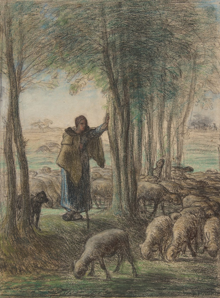 Pasterka i jej stado w cieniu drzew, 1854-55 (kredka conté i pastel na papierze wykładanym) autorstwa Jean Francois Millet