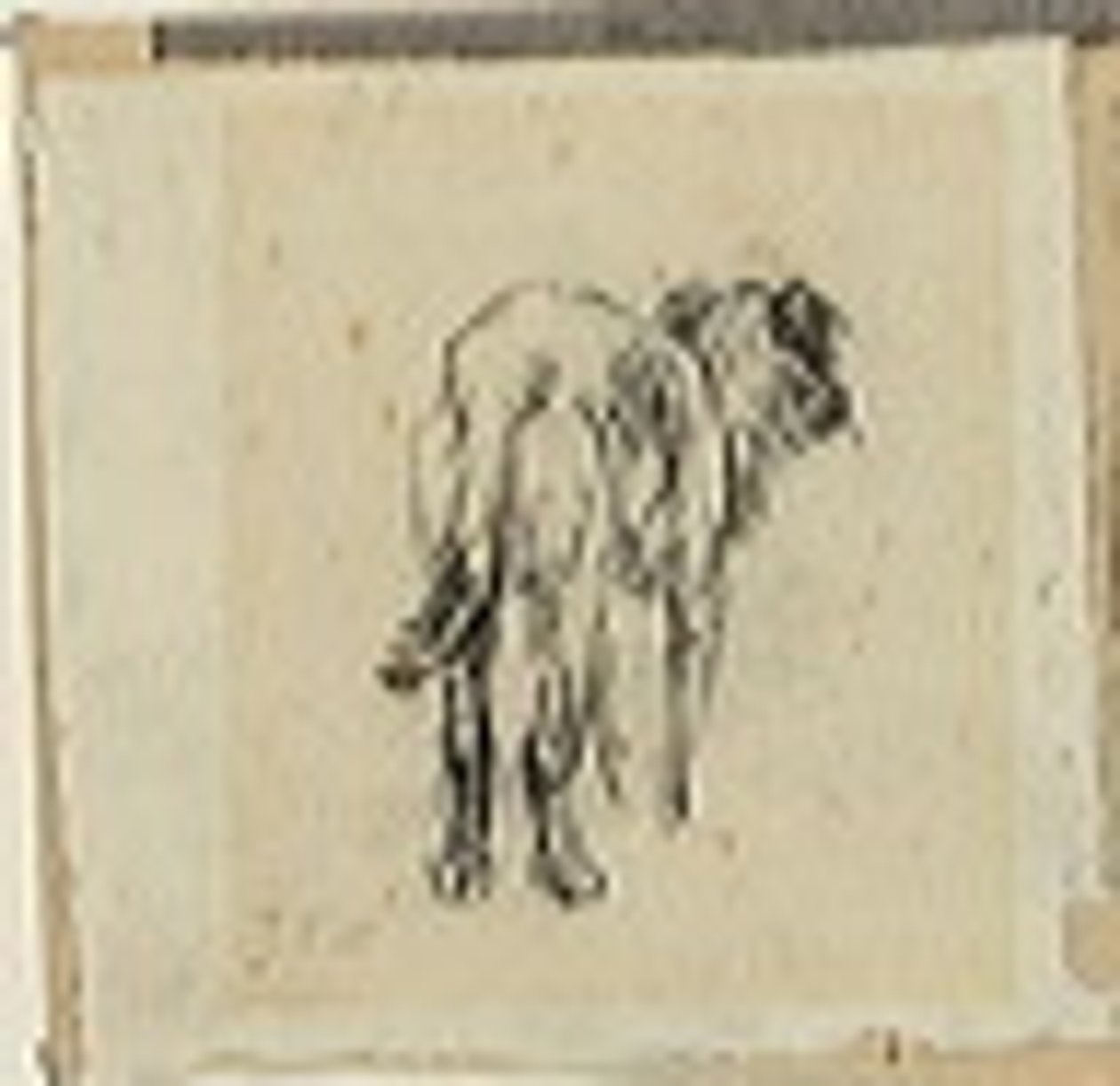 Studium psa autorstwa Jean Francois Millet